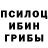 Галлюциногенные грибы мицелий Dark life