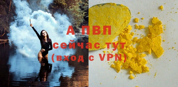 стаф Семилуки