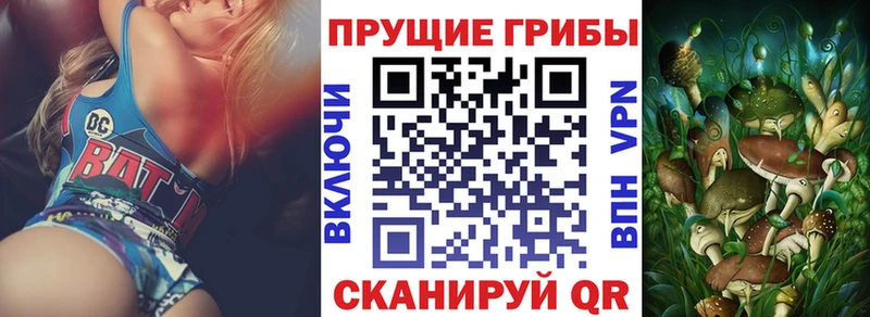 Галлюциногенные грибы Psilocybe  ссылка на мегу tor  Ахтубинск 